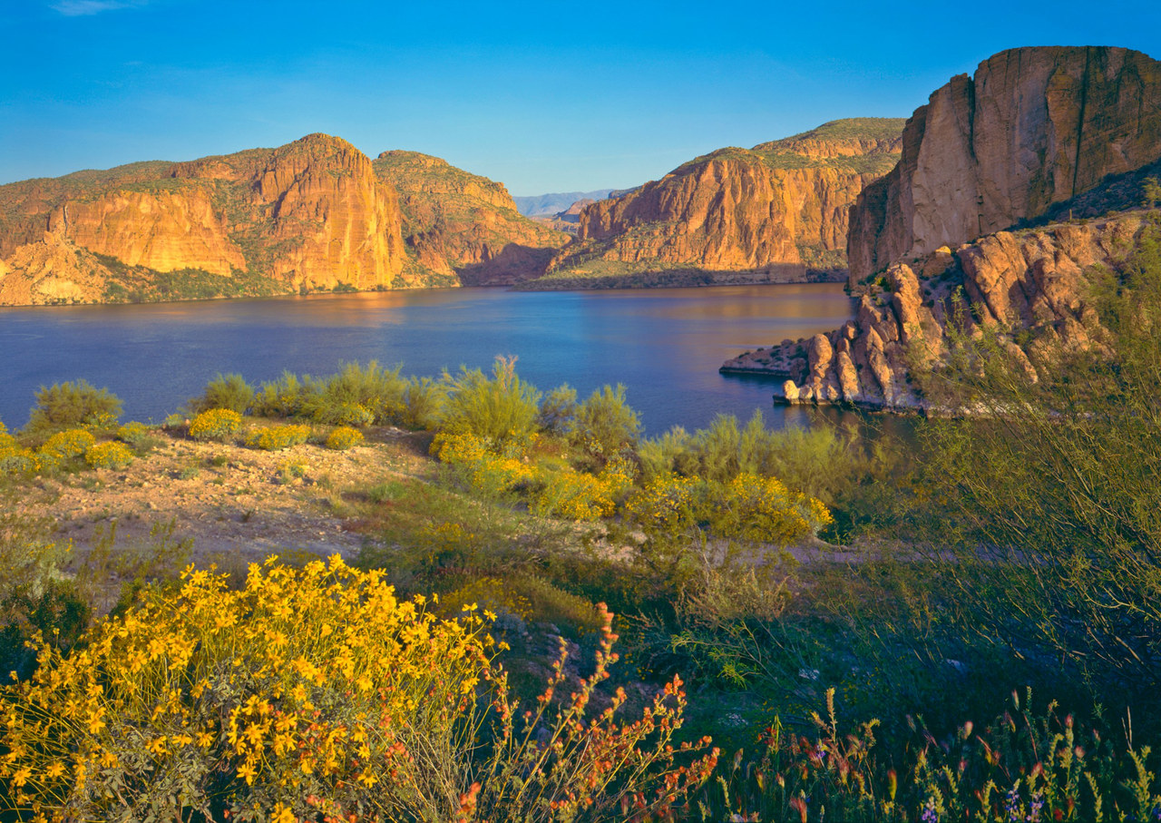 Canyon Lake framed by desert cliffs and spring wildflowers